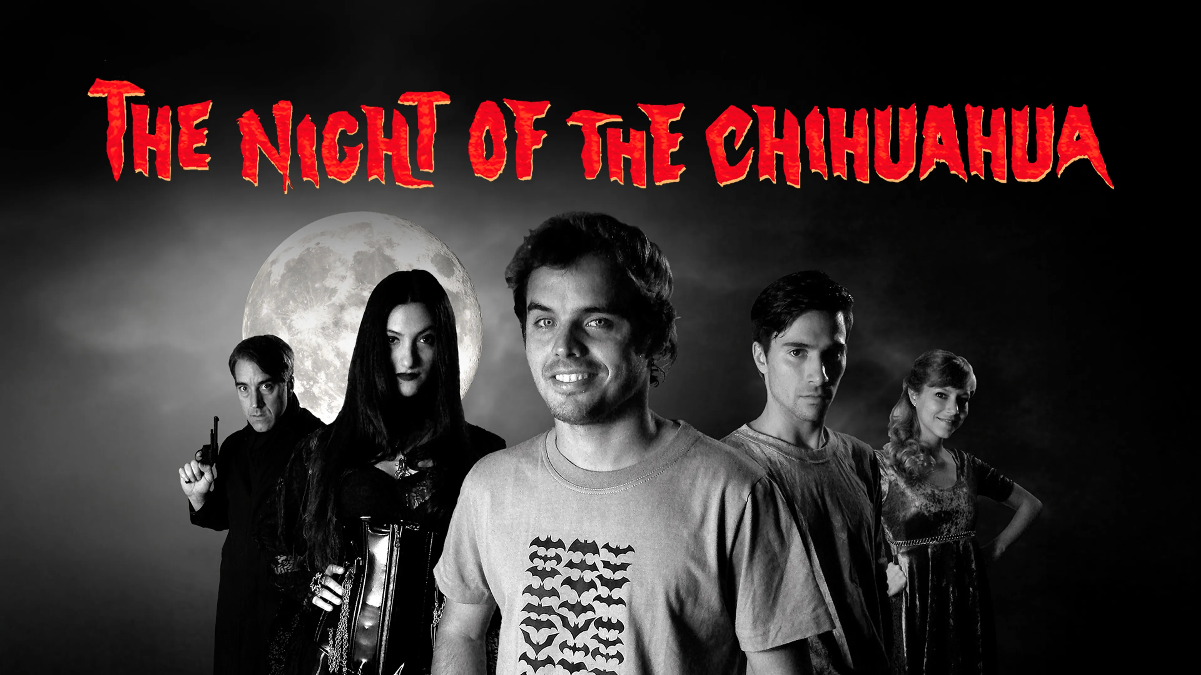 The Night of the Chihuahua poster